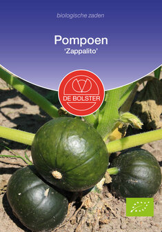 Biologische pompoen zaden kopen, Zappalito | Moestuinland