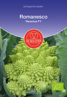 Romanesco zaden kopen, Veronica F1 (BIO) | Moestuinland