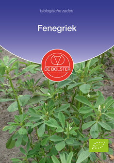 Fenegriek zaden kopen, Foenegriek (BIO) | Moestuinland