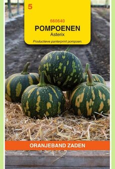 Pompoen zaden kopen, Asterix | Moestuinland