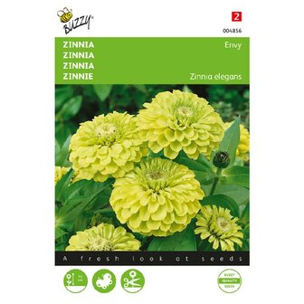 Zinnia zaden kopen, Envy (geel dahliabloemig) | Moestuinland