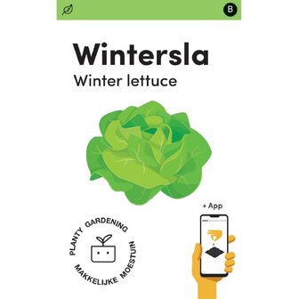 Sla zaden kopen, Wintersla winter lettuce merveillge d&#039;hiver | Moestuinland