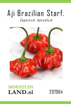 Peper zaden kopen, Aji Brazilian Starfish | Moestuinland