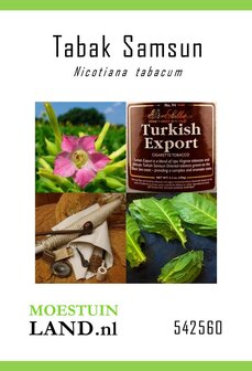 Tabaksplant zaden kopen van Turkse Tabaksplant (Samsun) | Moestuinland