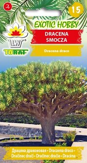 Drakenbloemboom zaden - Kweek de Dracena draco | Moestuinland