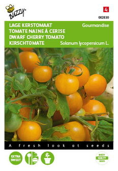 Gele Cherry of kerstomaten zaden om te zaaien, Gourmandise | Moestuinland