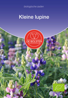 Kleine Lupine zaad bestellen, Biologische zaden bij  | Moestuinland.nl