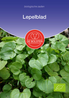 Lepelblad zaden van De Bolster bij Moestuinland | Moestuinland.nl