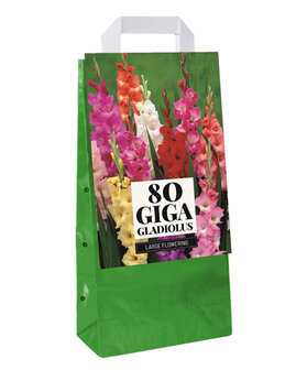 Grootverpakking Gladiolen kopen (80 bollen) | Moestuinland.nl