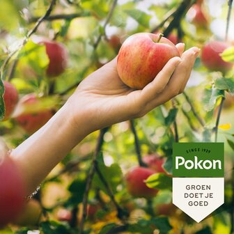 Sfeerimpressie goede fruitbomen | Moestuinland.nl