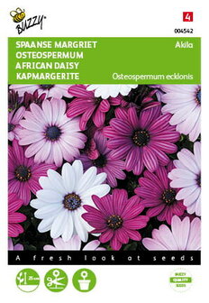 Spaanse Margriet zaad bestellen | Moestuinland.nl