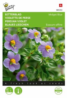 Bitterblad zaad bestellen, Exacum affine (Blue Midget) | Moestuinland.nl