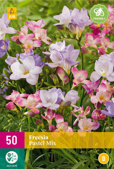 Freesia bloembollen kopen, Pastel mix (Pastelkleurig) | Moestuinland.nl