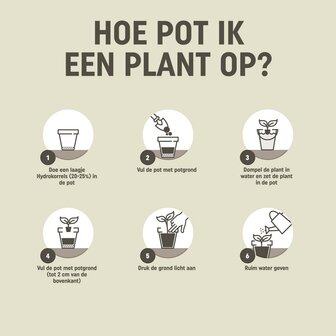 Gebruiksaanwijzing voor het gebruik van de kamerplanten potgrond (10 liter) | Moestuinland.nl