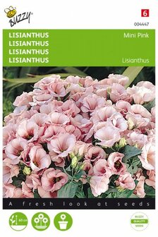 Roze Lisianthus zaad kopen, Mini Pink (Roze Eustoma) | Moestuinland.nl
