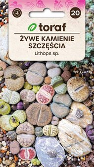 Lithops zaad bestellen, Levende Steentjes | Moestuinland.nl