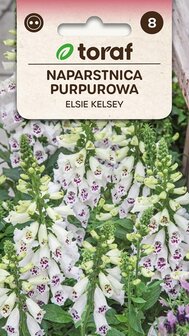 Vingerhoedskruid zaad kopen, Elsie Kelsey (Digitalis purpurea) | Moestuinland.nl