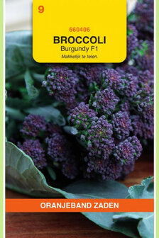 Broccolini zaden kopen, Sprouting Broccoli Burgundy F1 (paars) | Moestuinland.nl