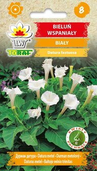Trompetplant zaden, Witte Datura fastuosa | Moestuinland.nl