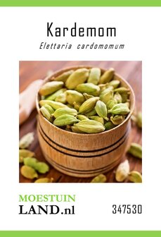 Kardemom zaden kopen, Elettaria cardomomum (Cardomom) | Moestuinland.nl
