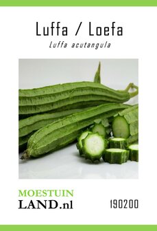 Luffa zaden kopen, Luffa acutangula (Loefa) | Moestuinland.nl