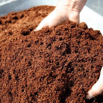Sfeerimpressie Kokosgruis, cocopeat (40l) | Moestuinland.nl