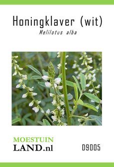 Honingklaver zaden bestellen, Witte (Melilotus alba) | Moestuinland.nl