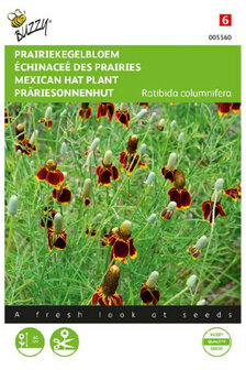 Prairiekegelbloem zaden bestellen, Ratibida columnifera (Ballerinabloem) | Moestuinland.nl