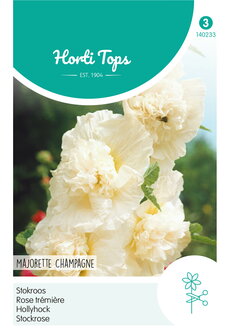 Witte stokroos creme kleurig zaden kopen, Alcea majorette champagne | Moestuinland.nl
