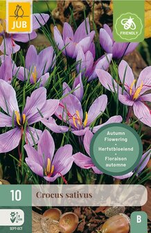 Krokus bloembollen kopen, Crocus sativus (Saffraan / Saffraancrocus) | Moestuinland.nl
