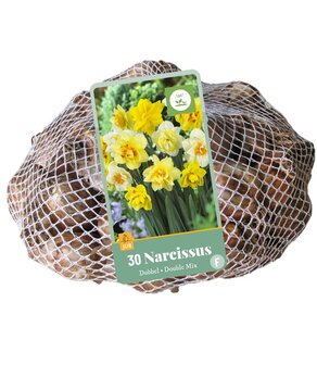 Narcis bloembollen kopen, Double mix (dubbelbloemig) | Moestuinland.nl