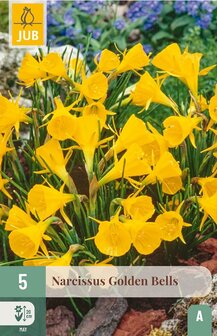 Narcis bloembollen kopen, Golden Bells | Moestuinland.nl