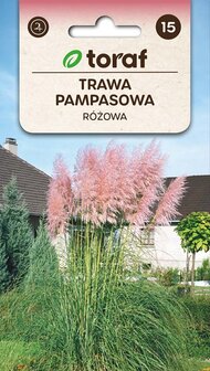 Bruin/roze pampasgras zaad bestellen Cortaderia selloana | Moestuinland.nl