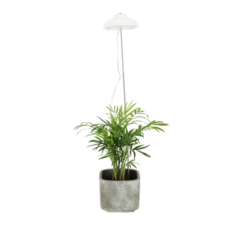 Groeilamp voor kamerplanten | Moestuinland.nl