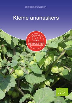 Kleine ananaskers zaden kopen, Biologische physalis | Moestuinland.nl