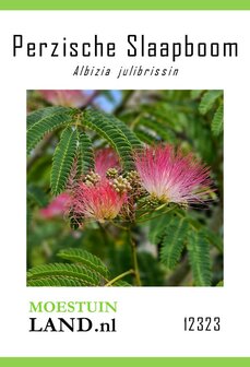 Perzische Slaapboom zaden kopen, Zijdeboom Zijde-Acacia | Moestuinland.nl