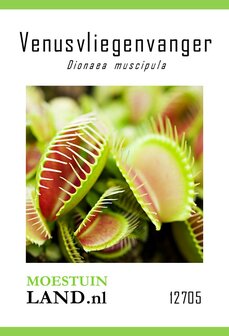 Vleesetende plant zaden kopen, Venusvliegenvanger Fly Trap Seeds | Moestuinland.nl