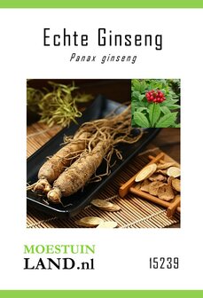 Echte Koreaanse Ginseng zaden kopen, Panax ginseng | Moestuinland.nl