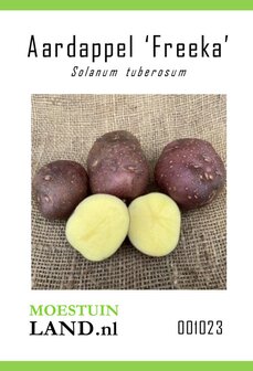 Aardappel zaden kopen, Freeka (Roodschil)| Moestuinland