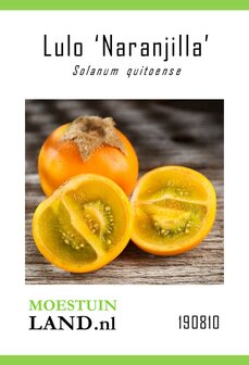Lulo zaden kopen, Naranjilla | Moestuinland.nl