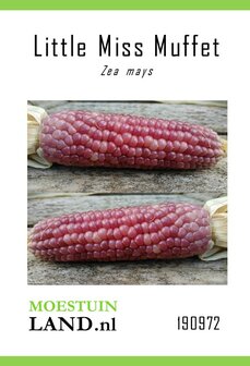 Mais zaden, Pofmais Little Miss Muffet | Moestuinland.nl