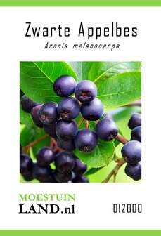 Zaden voor het kweken van de Zwarte Appelbes | Moestuinland.nl