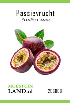 Passievrucht zaden kopen, Passiflora edulis (Maracuja) | Moestuinland.nl