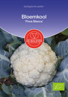 Biologische bloemkool zaden Flora Blanca (BIO) Herfst | Moestuinland.nl