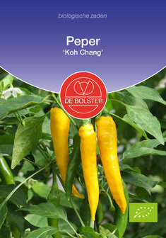Gele peper zaden kopen, Koh Chang (BIO) | Moestuinland.nl