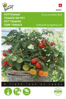 Tomaten zaden kopen, Micro-Cherry Pro Mini | Moestuinland