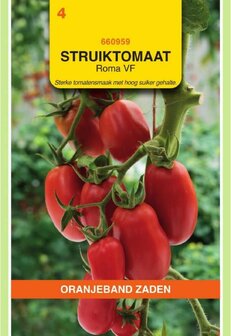 Roma VF Cherry tomaten zaad | Moestuinland.nl