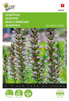 Acanthus zaden kopen, Acanthus mollis | Moestuinland.nl
