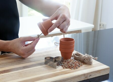 Vogelvoer knutselpakket kopen, DIY Vogelvriendje