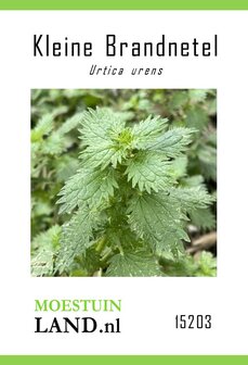 Kleine brandnetel zaden, Urtica urens | Moestuinland